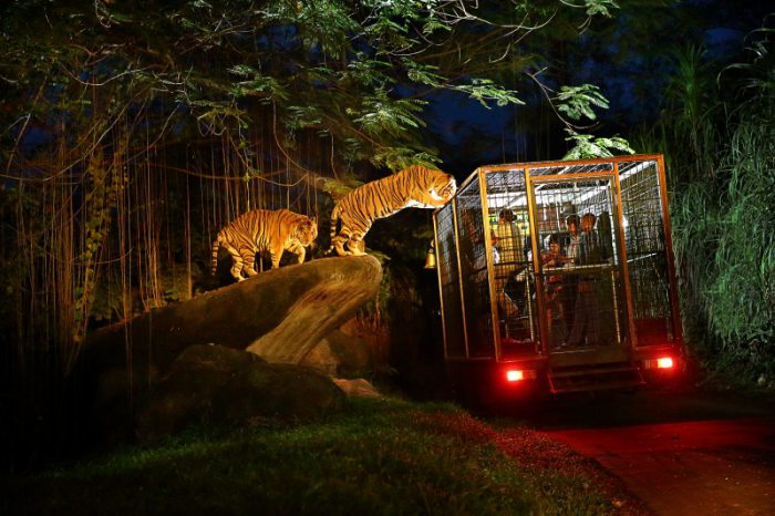 bali safari marine park hotel